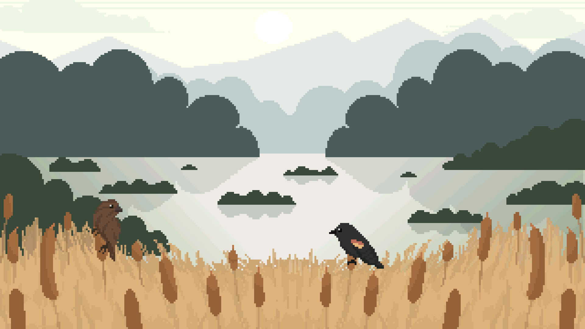 Birds in Peace, 2022